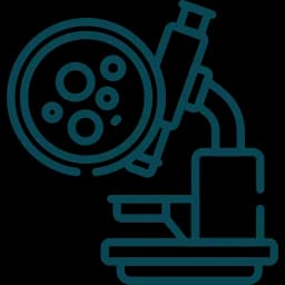 service icon